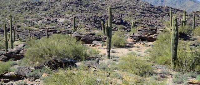 South Mountain