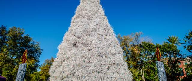 Five Tips for a Great Time at the Tumbleweed Tree Lighting Ceremony & Parade of Lights