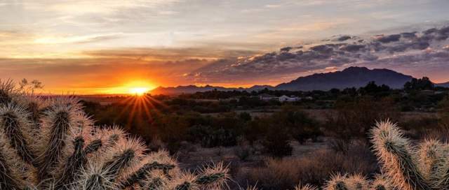 5 Reasons Chandler is the Perfect ‘Workation’ Destination