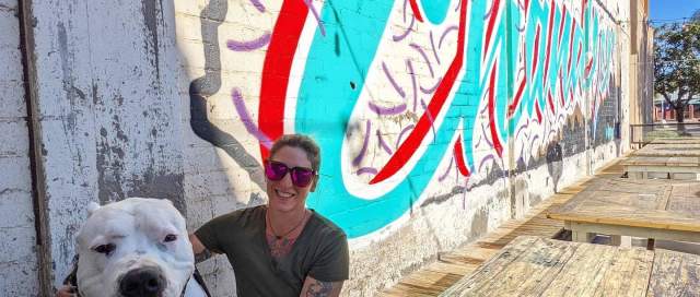 Best Dog Friendly Restaurants in Chandler