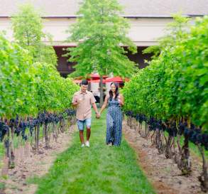 wine country couple