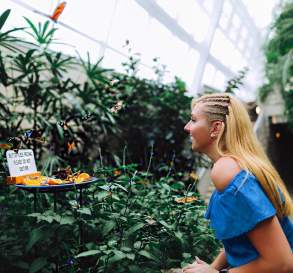 Butterfly Conservatory
