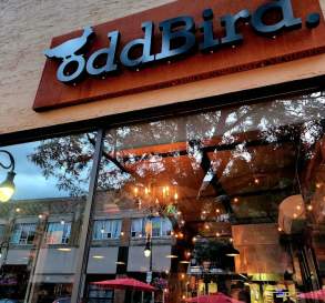 oddBird