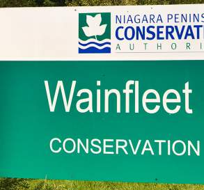 Wainfleet Bog