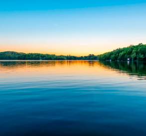 Fishin' Finatics Charters