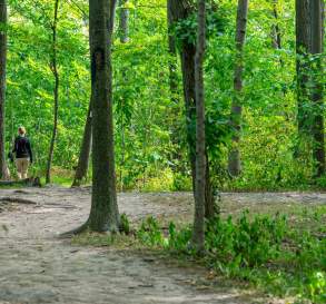 Woodend Conservation Area