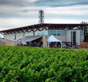 Jackson-Triggs Niagara Estate Winery