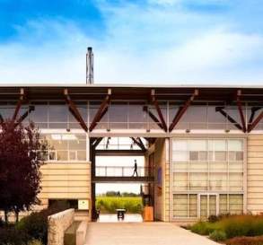 Jackson-Triggs Niagara Estate Winery