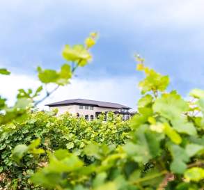 Megalomaniac Winery John Howard Cellars of Distinction