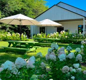 Sons & Daughters Winery