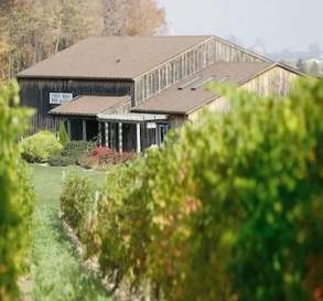 Thirty Bench Wine Makers