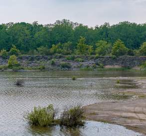 Wainfleet Wetlands Conservation Area