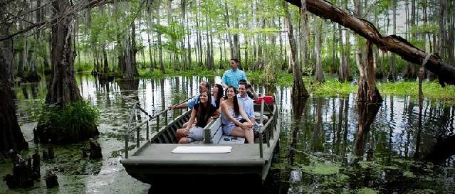 Bayou Swamp Tour