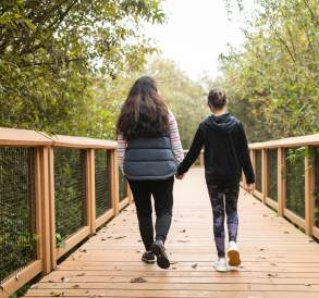 Springbrook Boardwalk at the Black River Riparian Forest