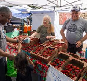 2026 farmers market