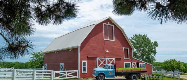 Farming & Ranch Experiences | Kansas Agritourism Things to Do