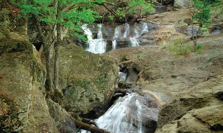 Waterfall and trees at Cummingham Falls