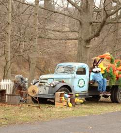 A vintage truck with an Easter bunny and large, fake carrots on the bed of the truck