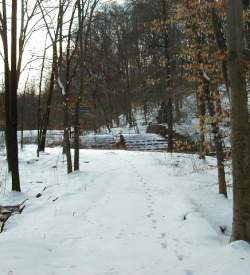 A snowy path with small shoe marks in the snow in the woods