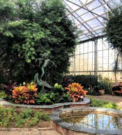 Interior of a conservatory with windows as walls and the ceiling. A pond with a child statue behind it in a flower bed is surrounded by lush green plants