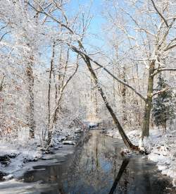 An icy river with snow covered banks and trees