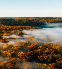 Fog over fall foliage filled trees