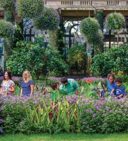 A group of adults and kids looking at tall flower beds in a conservatory