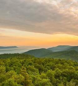 scenic landscape