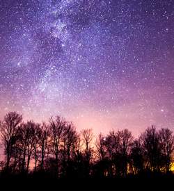 starry night