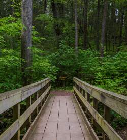 Pocono Mountains