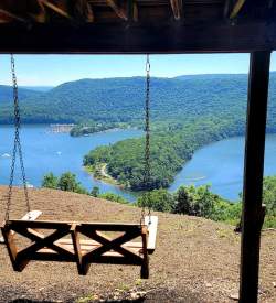 A swing overlooking a lake on a sunny day