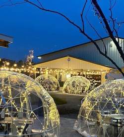 See through igloos over set tables on an outdoor patio with string lights