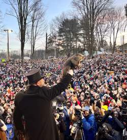 How to Celebrate Groundhog Day