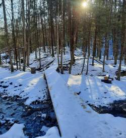 A small, snow covered bridge over a small stream on a sunny day in Worlds End State Park