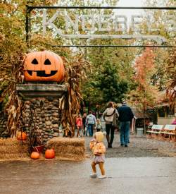 Small kid standing in front of an amusement park entrance with large pumpkins on either sign of a sign that reads "Knoebels"