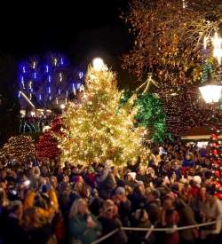 Large crowd around a glowing Christmas tree at night