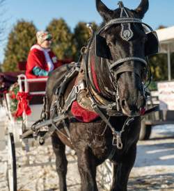 Must-Attend Holiday Events and Festivals in Pennsylvania