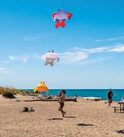 Kids and adults on a beach flying kites on a sunny day