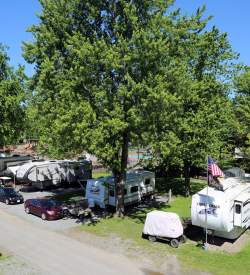 A row of RVs at a campground