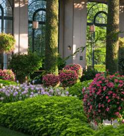 Interior of a garden conservatory with purple and pink florals throughout