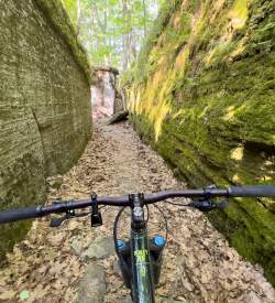 Point of view of a bike on an outdoor trail