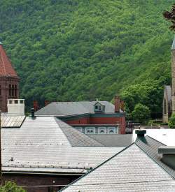 A large clock tower standing over a city with luscious green trees in the background