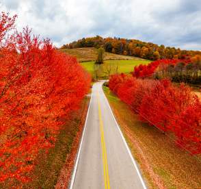 Fall Road Trip in Laurel Highlands