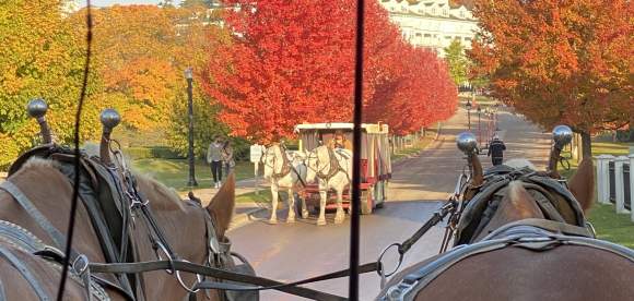 Mackinac Island Carriage Ride