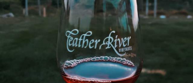 Feather River Vineyard
