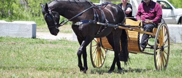 Heritage Festival
