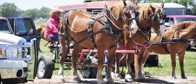 Heritage Festival