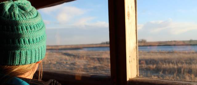 Sandhill Crane Blind Tour with Dusty Trails