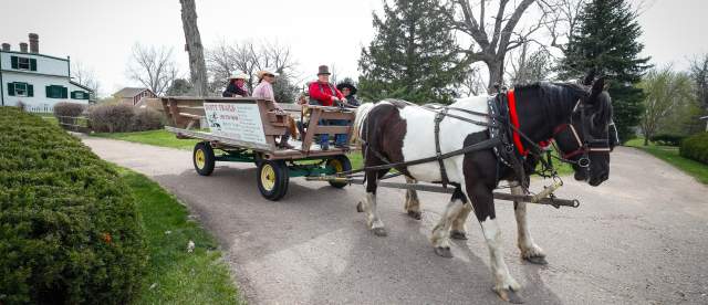 Horse-Drawn Wagon Ride