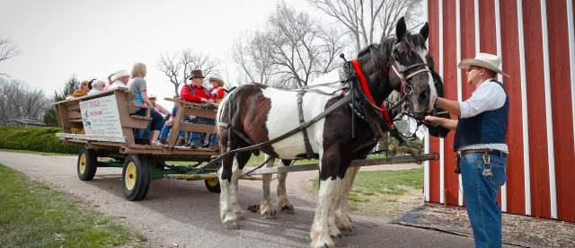Horse-Drawn Wagon Ride